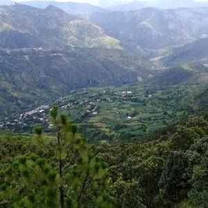 Meet your Posher, Federico